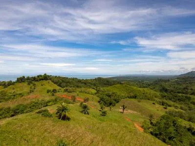 Legado de Finca El sueño de los desarrolladores inmobiliarios, photo 10