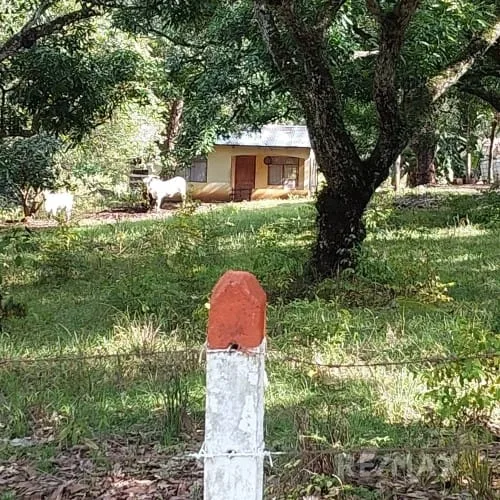 Turrubares Development Parcel, photo 12