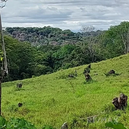 Turrubares Development Parcel, photo 13