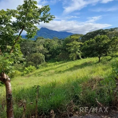 Turrubares Development Parcel, photo 7
