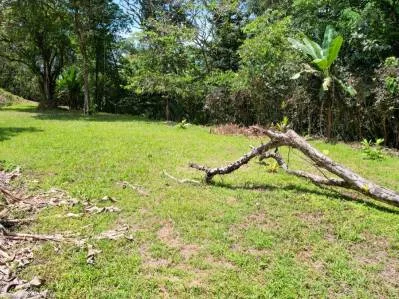 Terreno cerca de Ojochal, Costa Rica – Lote con agua y electricidad cerca de la cascada El Pavón, photo 4