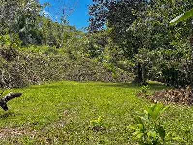 Terreno cerca de Ojochal, Costa Rica – Lote con agua y electricidad cerca de la cascada El Pavón, photo 5