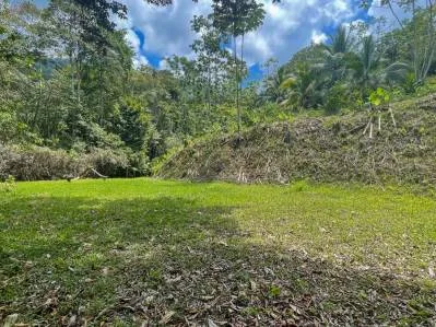 Terreno cerca de Ojochal, Costa Rica – Lote con agua y electricidad cerca de la cascada El Pavón, photo 8