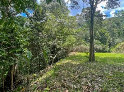 Terreno cerca de Ojochal, Costa Rica – Lote con agua y electricidad cerca de la cascada El Pavón, photo 10