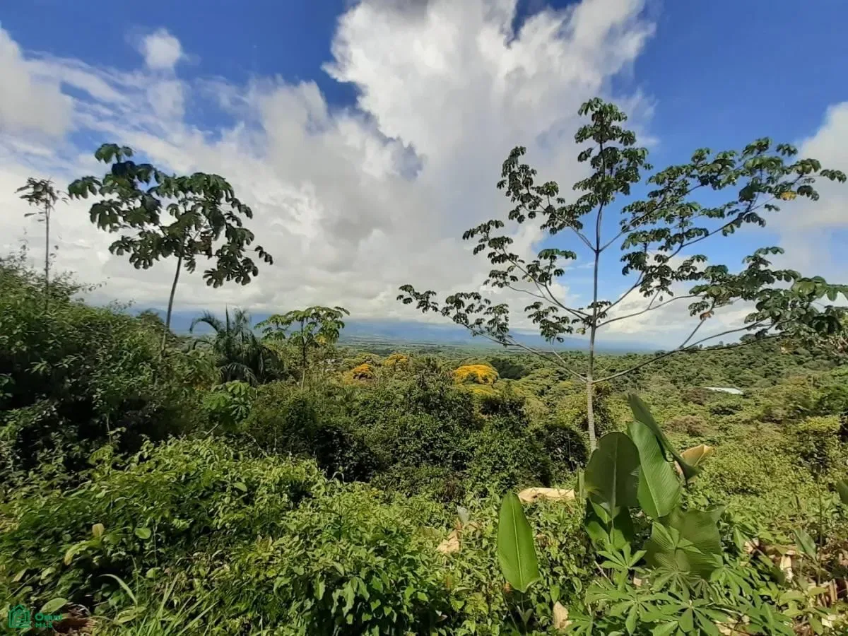 El Salto Road Manuel Antonio,, Puntarenas 60601