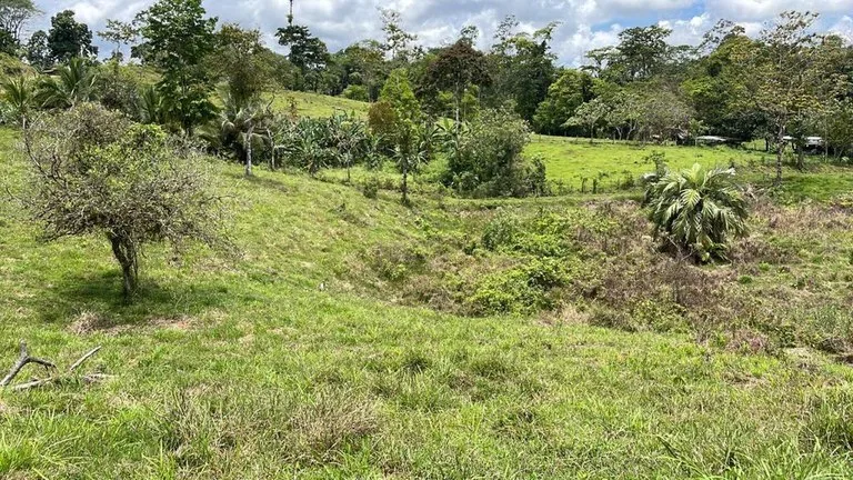 Agricultural Land in Bijagua