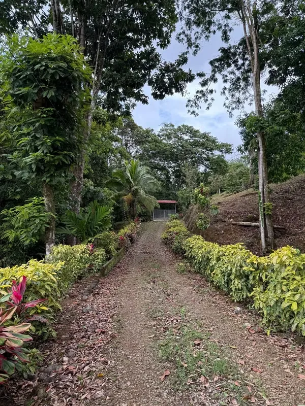 Se vende preciosa finca de 30,400 metros cuadrados., photo 2