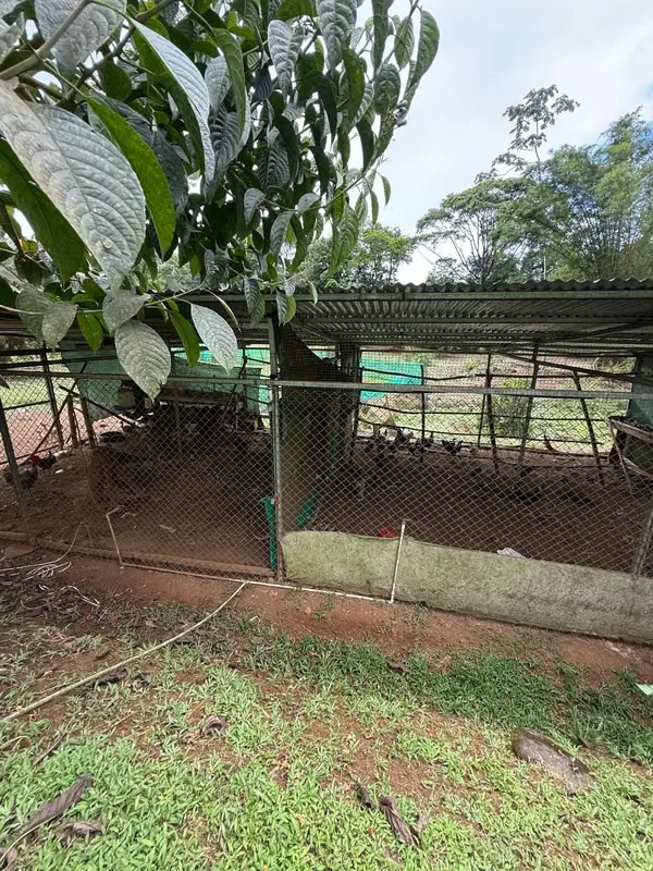 Se vende preciosa finca de 30,400 metros cuadrados., photo 14