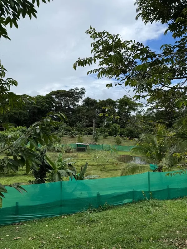 Se vende preciosa finca de 30,400 metros cuadrados., photo 16