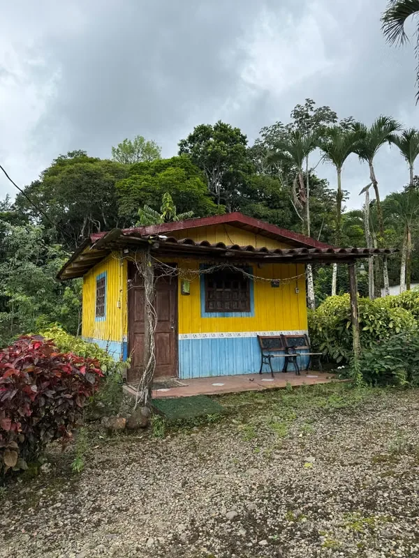 Se vende preciosa finca de 30,400 metros cuadrados., photo 4