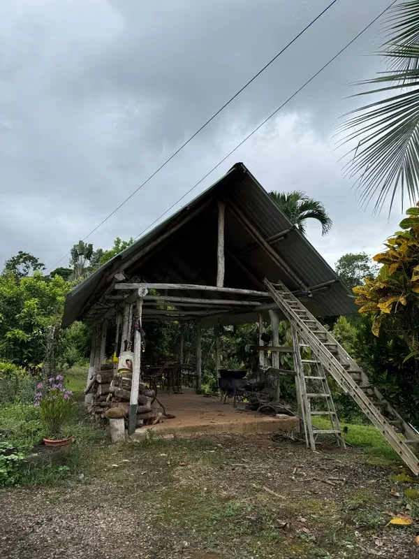 Se vende preciosa finca de 30,400 metros cuadrados., photo 7