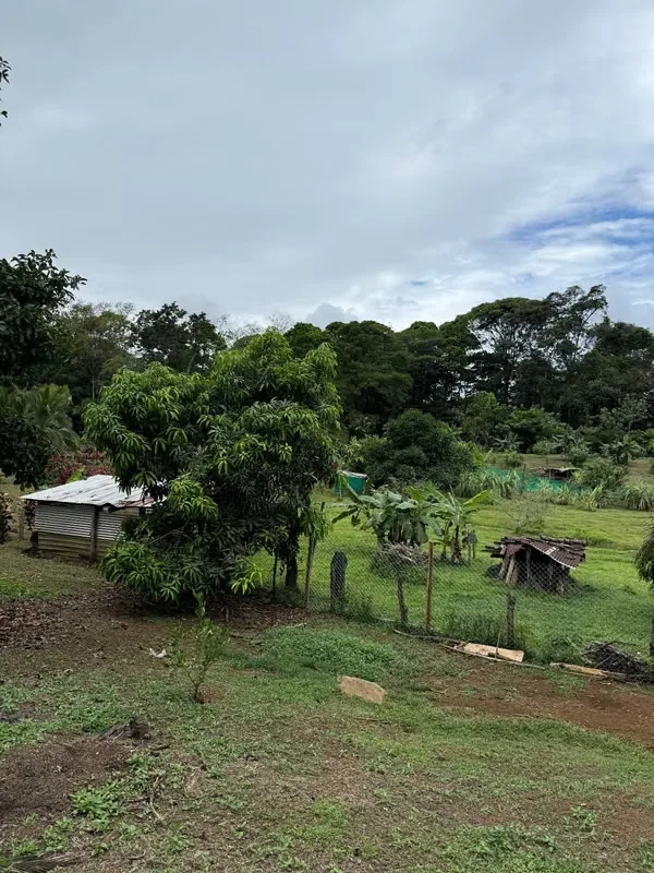 Se vende preciosa finca de 30,400 metros cuadrados., photo 9