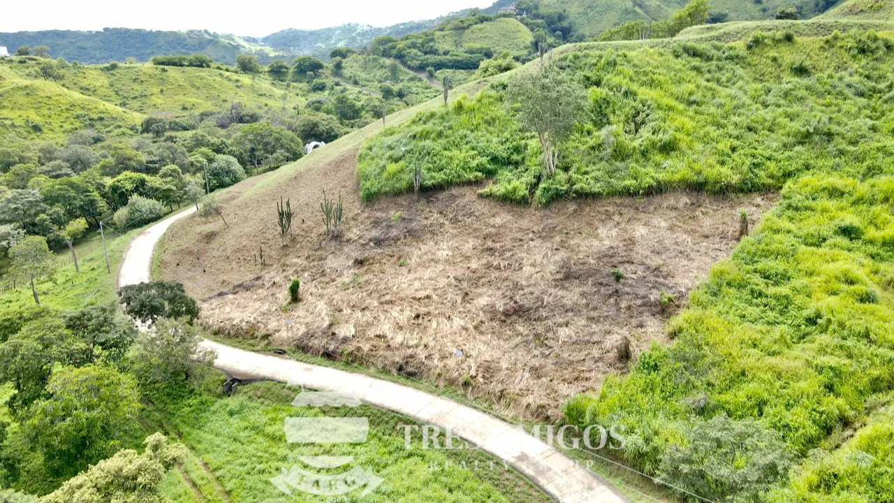 Cactus Heights Lot 320, photo 4