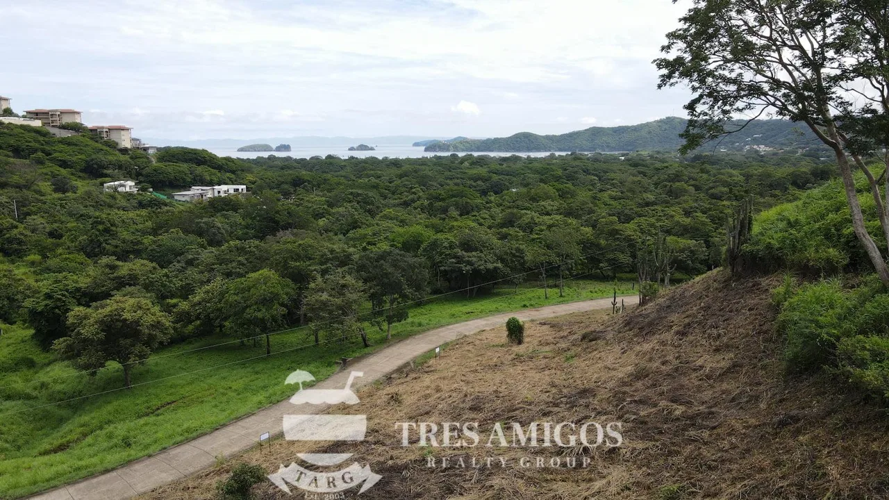 Cactus Heights Lot 320, photo 5