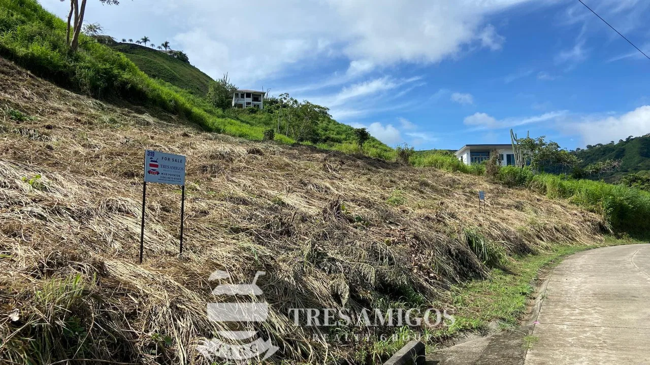 Cactus Heights Lot 320, photo 9