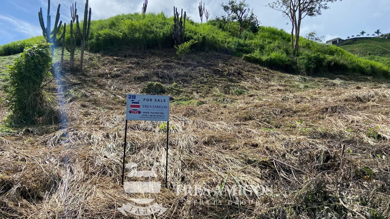 Cactus Heights Lot 320, photo 10