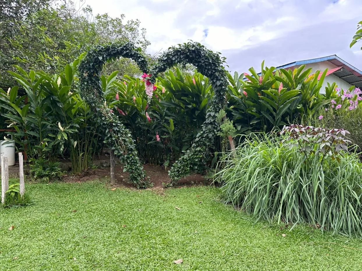 FOR SALE: Cacao Farm with River and Ecotourism Potential – Near Bijagua, Costa Rica