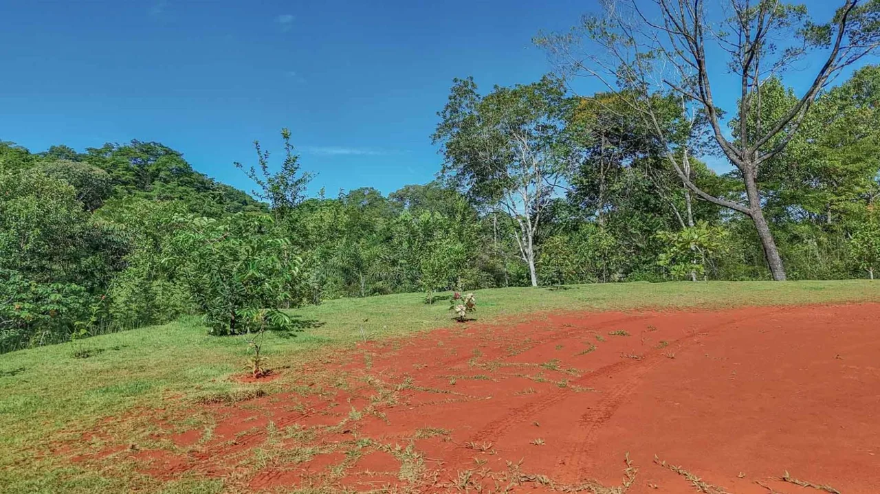 PROPERTY WITH 1 BEDROOM HOME, IN OJOCHAL – 1.20 ACRES, photo 27