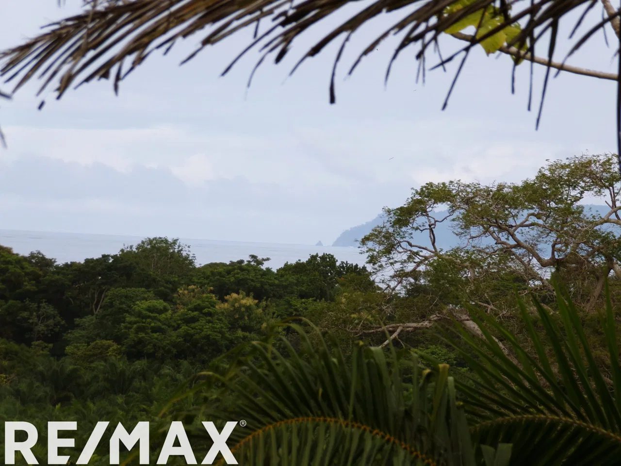 Golfo Dulce View Palm Estate - REMAX Jungle Properties | Pavones Golfito Real Estate