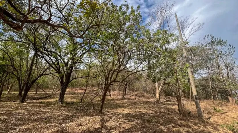 Lot / Land for Sale in a Prime Location, photo 7