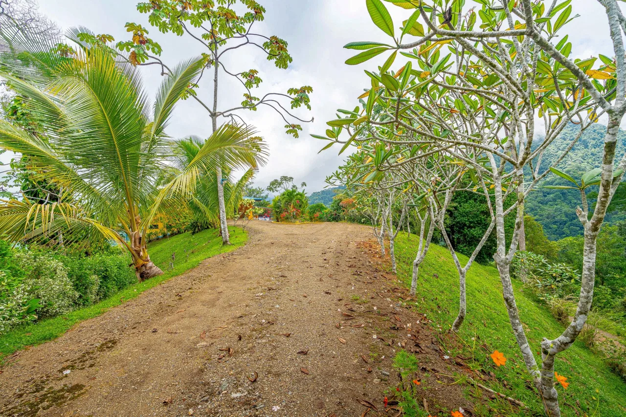 PROPERTY WITH PANORAMIC VIEWS OF THE OCEAN AND MOUNTAINS – 10.30 ACRES, photo 5