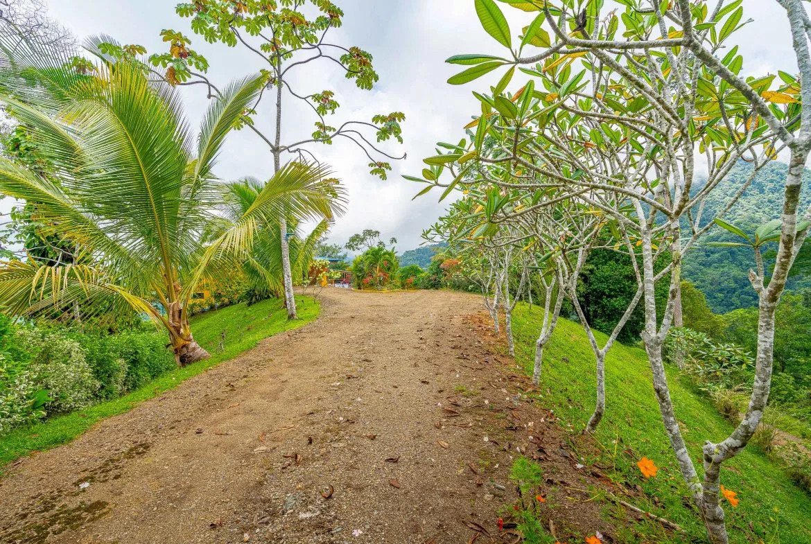 PROPERTY WITH PANORAMIC VIEWS OF THE OCEAN AND MOUNTAINS – 10.30 ACRES, photo 6