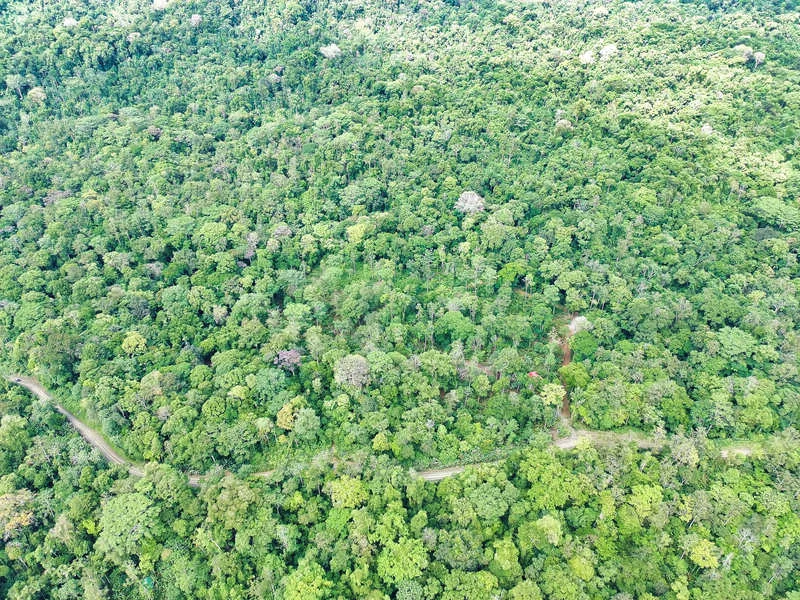 Land For Sale in Puerto Viejo, photo 3