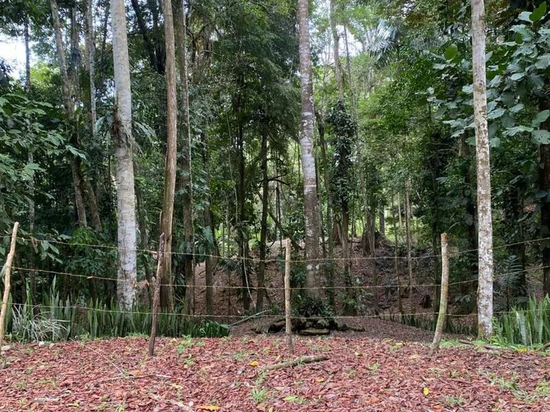 Land For Sale in Puerto Viejo, photo 4