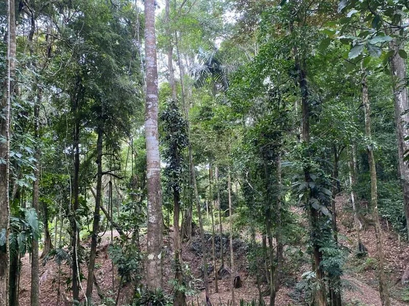 Land For Sale in Puerto Viejo, photo 5