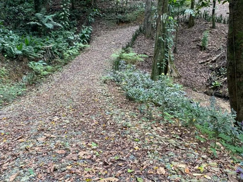 Land For Sale in Puerto Viejo, photo 6