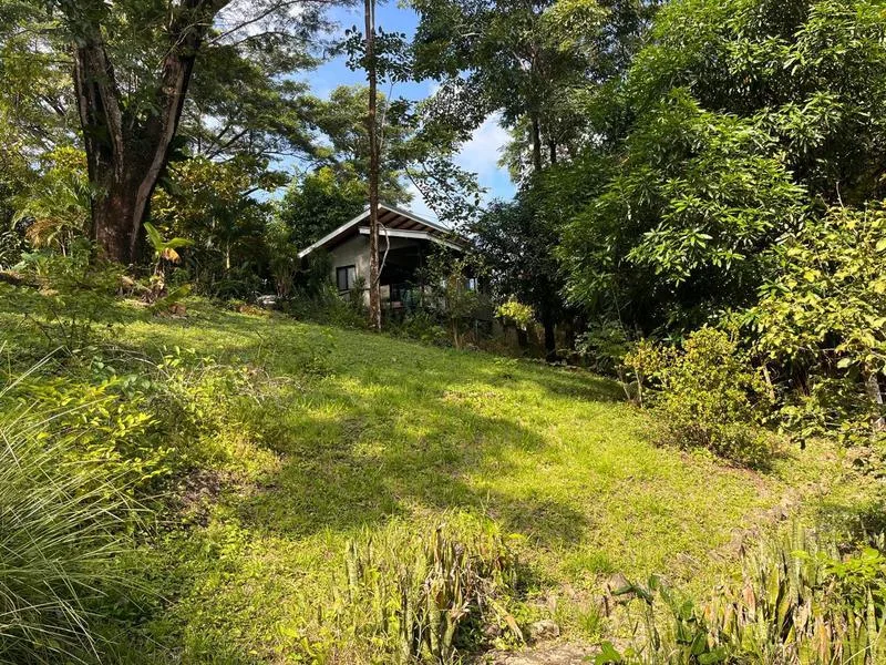 1 Bed Single Family Homes For Sale in Santiago, photo 11