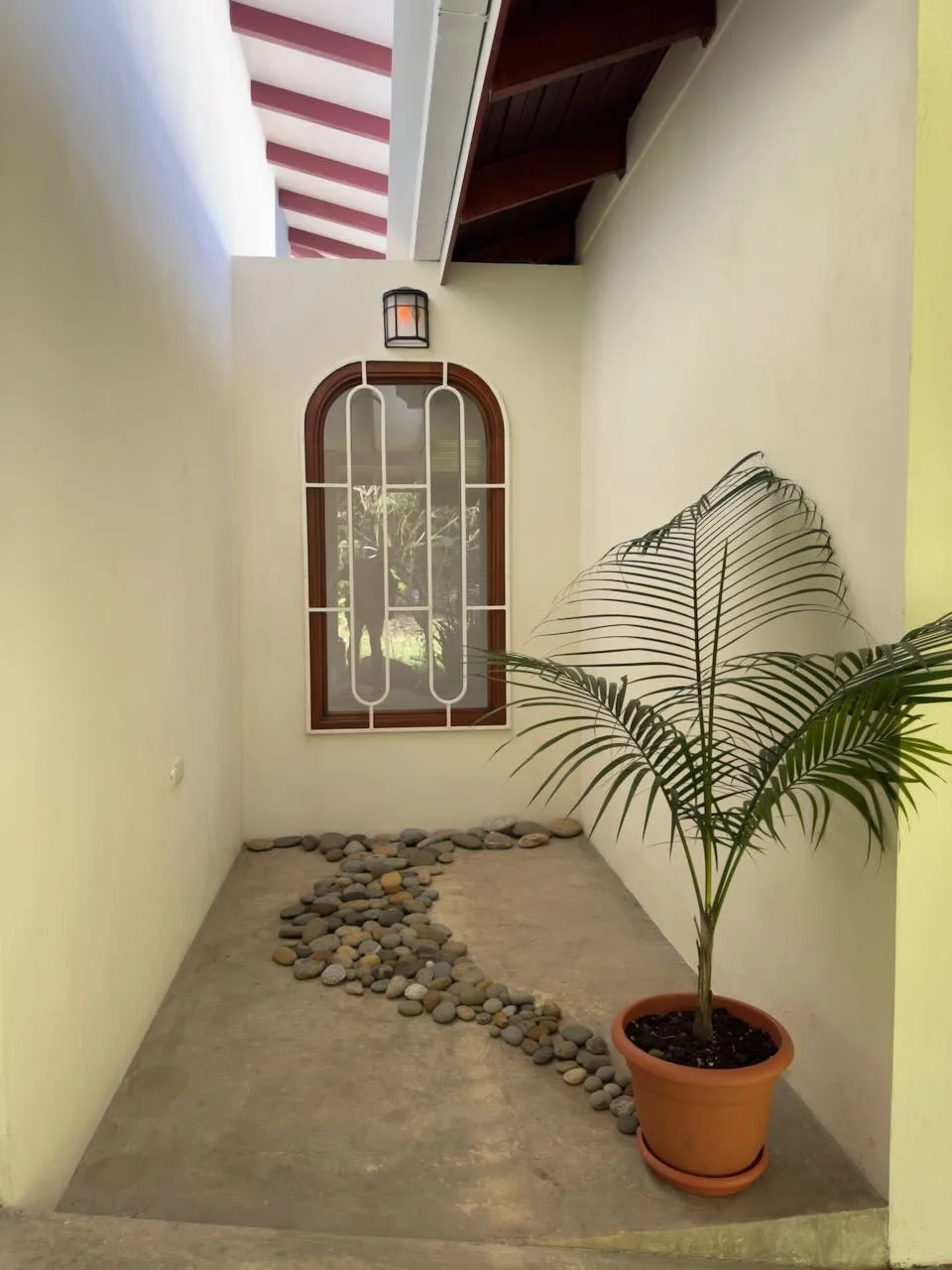 PROPERTY WITH TWO BEDROOM AND PEACEFUL GARDEN, IN OJOCHAL – 7.23 ACRES, photo 28
