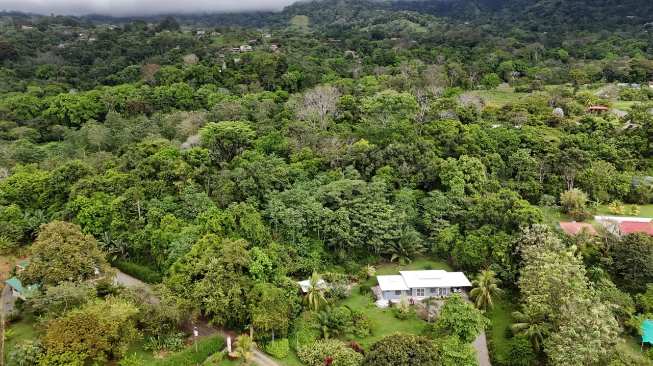 PROPERTY WITH TWO BEDROOM AND PEACEFUL GARDEN, IN OJOCHAL – 7.23 ACRES, photo 25