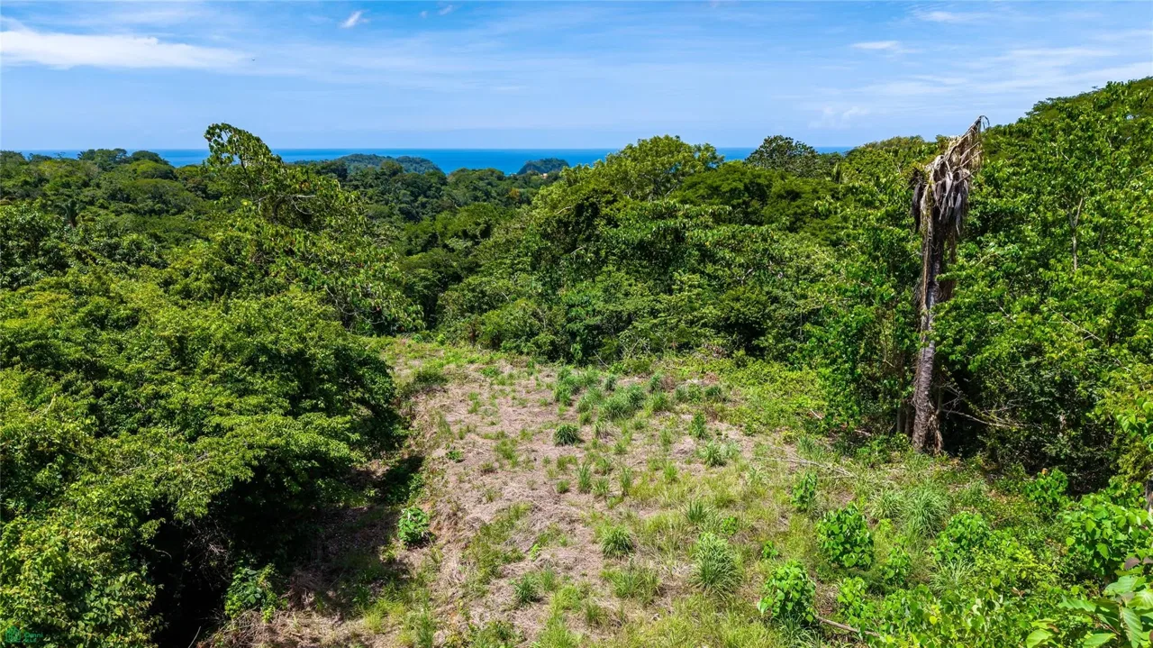 Vista Verde, Samara, Guanacaste 50205