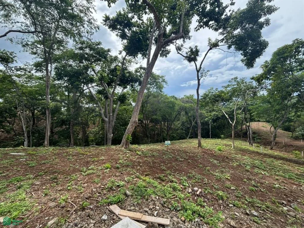 201 Ron Ron Santa Cruz Guanacaste