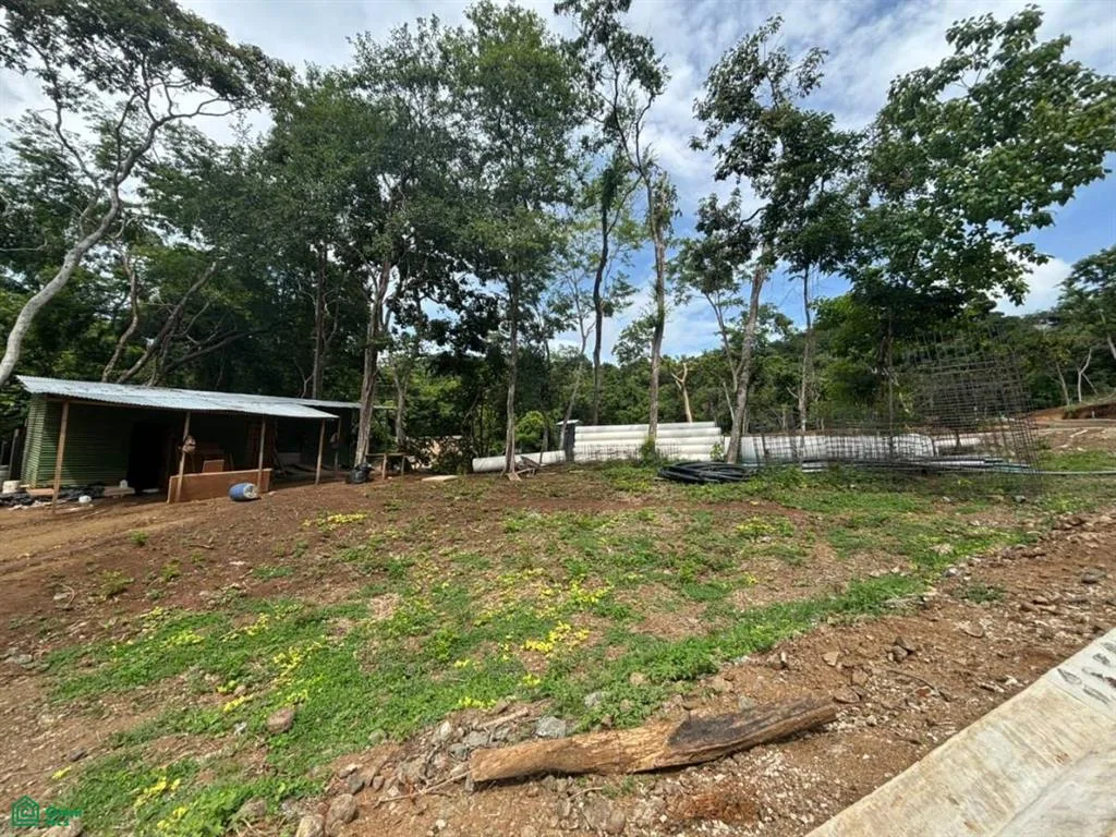 203 Ron Ron Santa Cruz Guanacaste