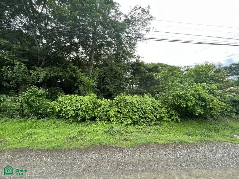 Lot F15 Playa Potrero Santa Cruz Guanacaste