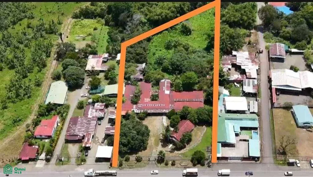 Paquita Puntarenas