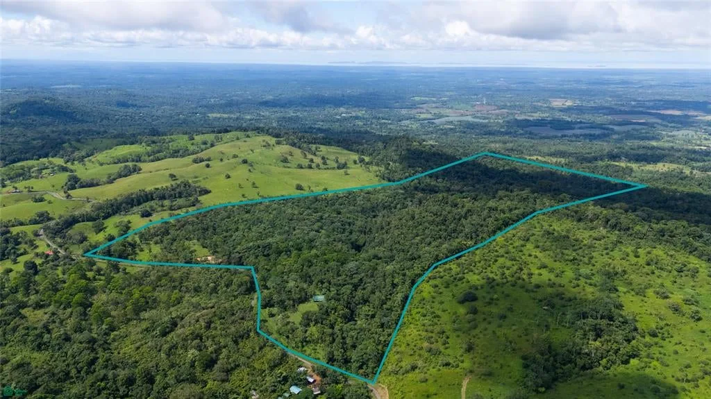 Finca Macadamia Bijagua Bijagua Alajuela