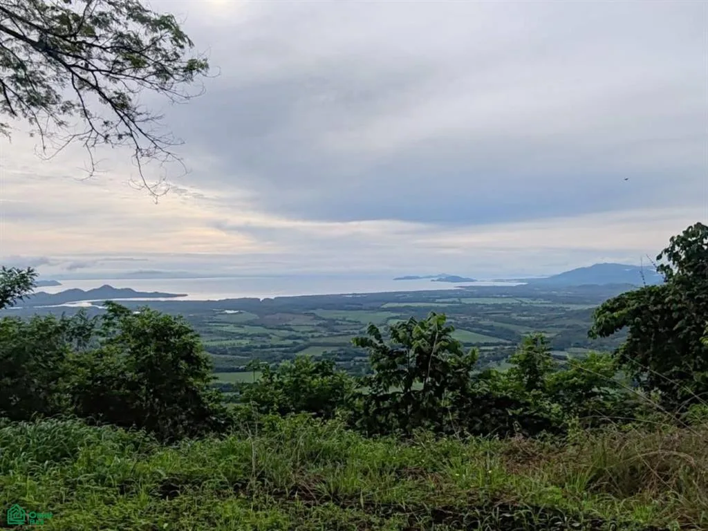 Finca Nandayure Carmona Guanacaste