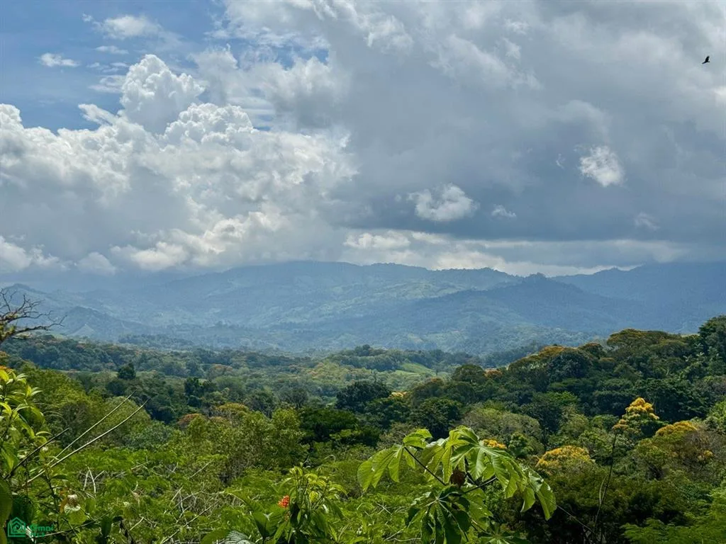 Platanillo Puntarenas