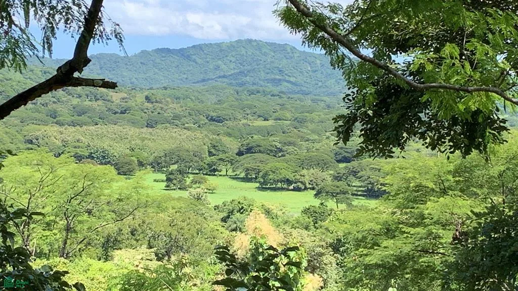 Lorena Cartagena Guanacaste