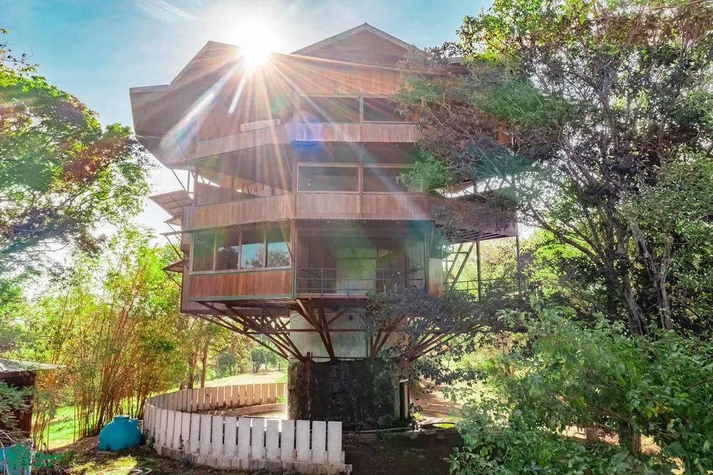 Pura Jungla Tower Santa Cruz Guanacaste