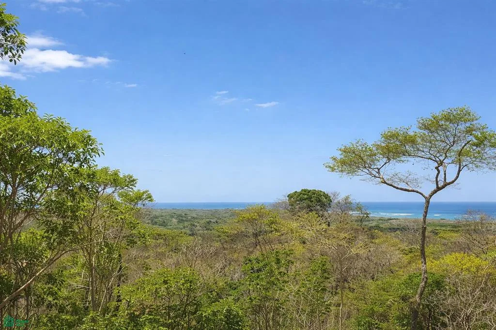 41 Via Senderos Tamarindo Guanacaste