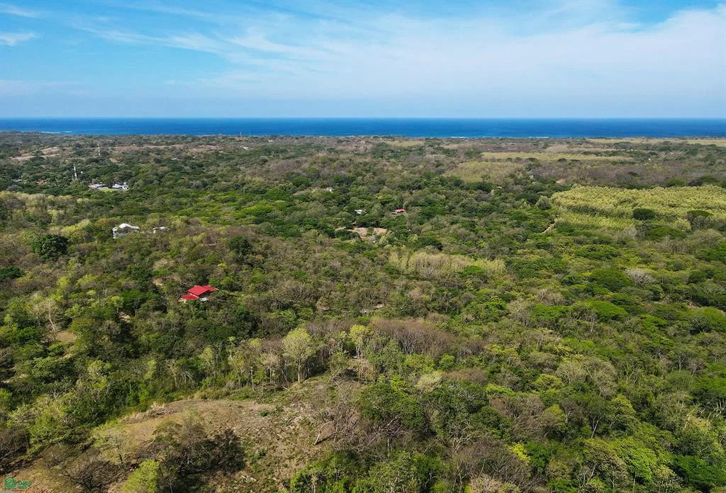 Pura Jungla 26 27 28 Veinticiete De Abril Guanacaste