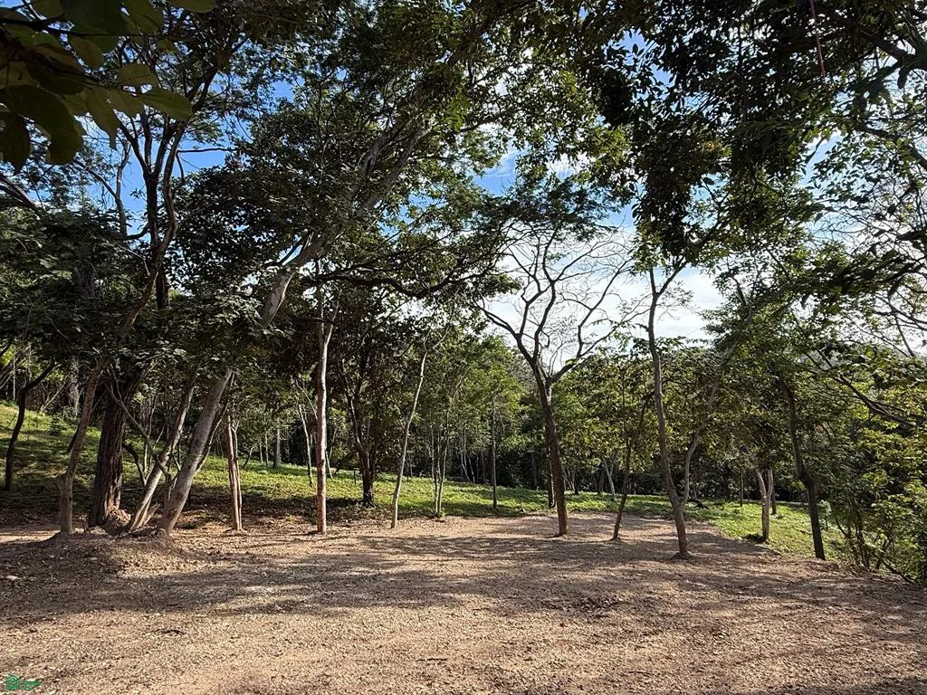 49 Via Senderos Tamarindo Guanacaste