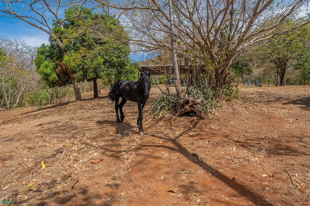 Cerro Grande Estates Road Tamarindo Guanacaste