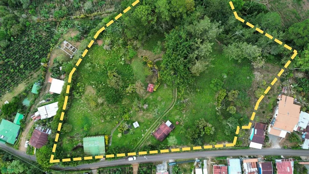 Palomo Orosi Cartago