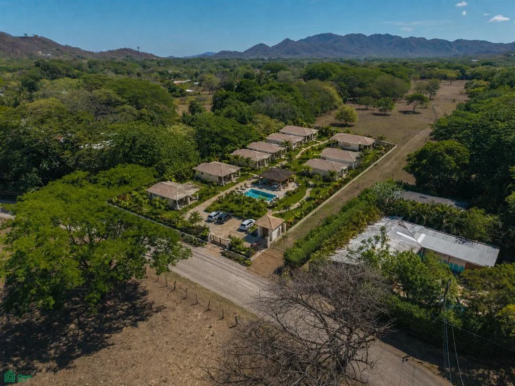 Lagarita Nueva Tamarindo Guanacaste