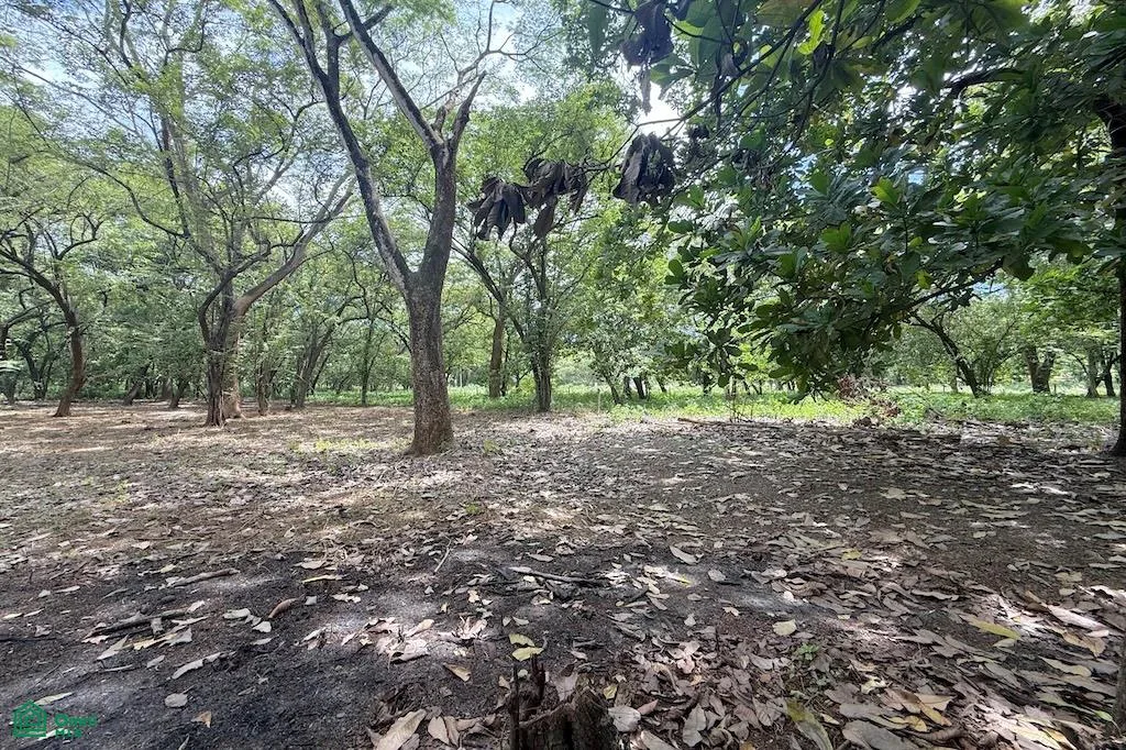 Ruta Nacional Secundaria 160 Tamarindo Guanacaste